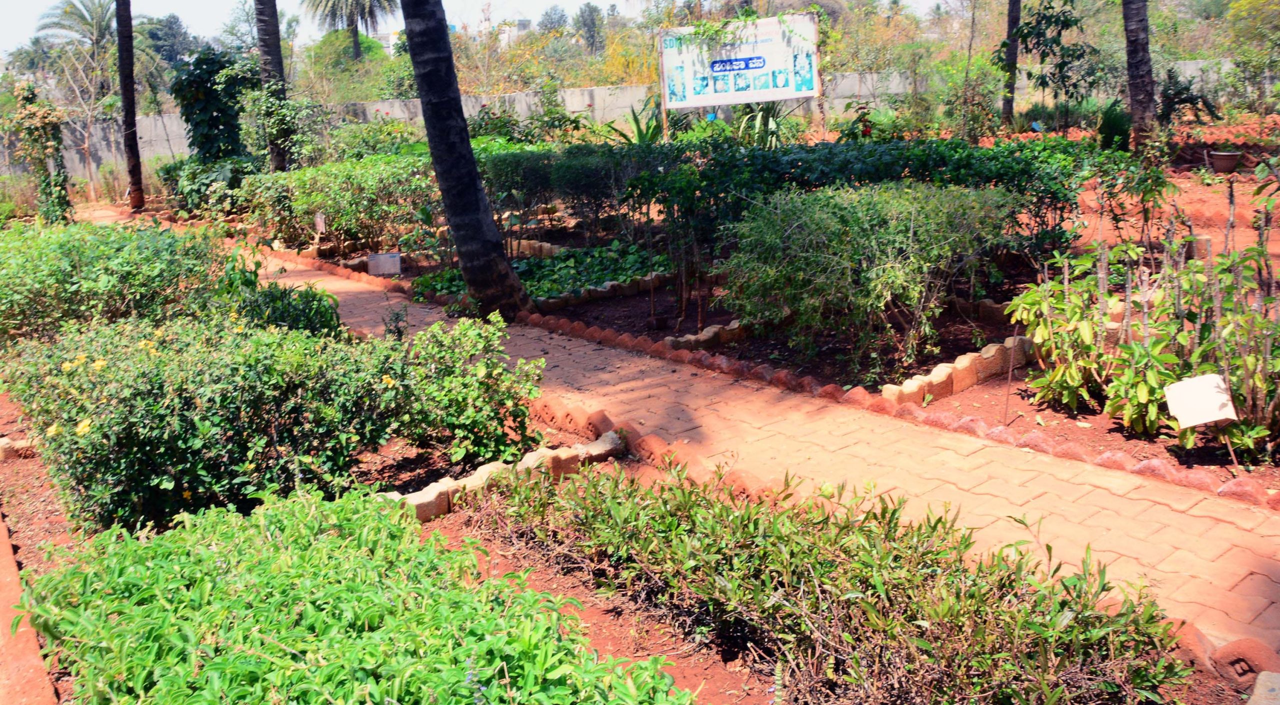 Herbal Garden-min