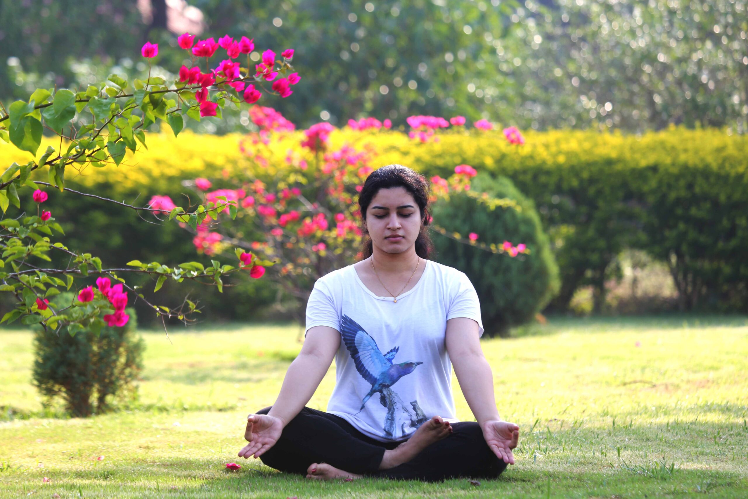 SWASTHAVRITTA & YOGA