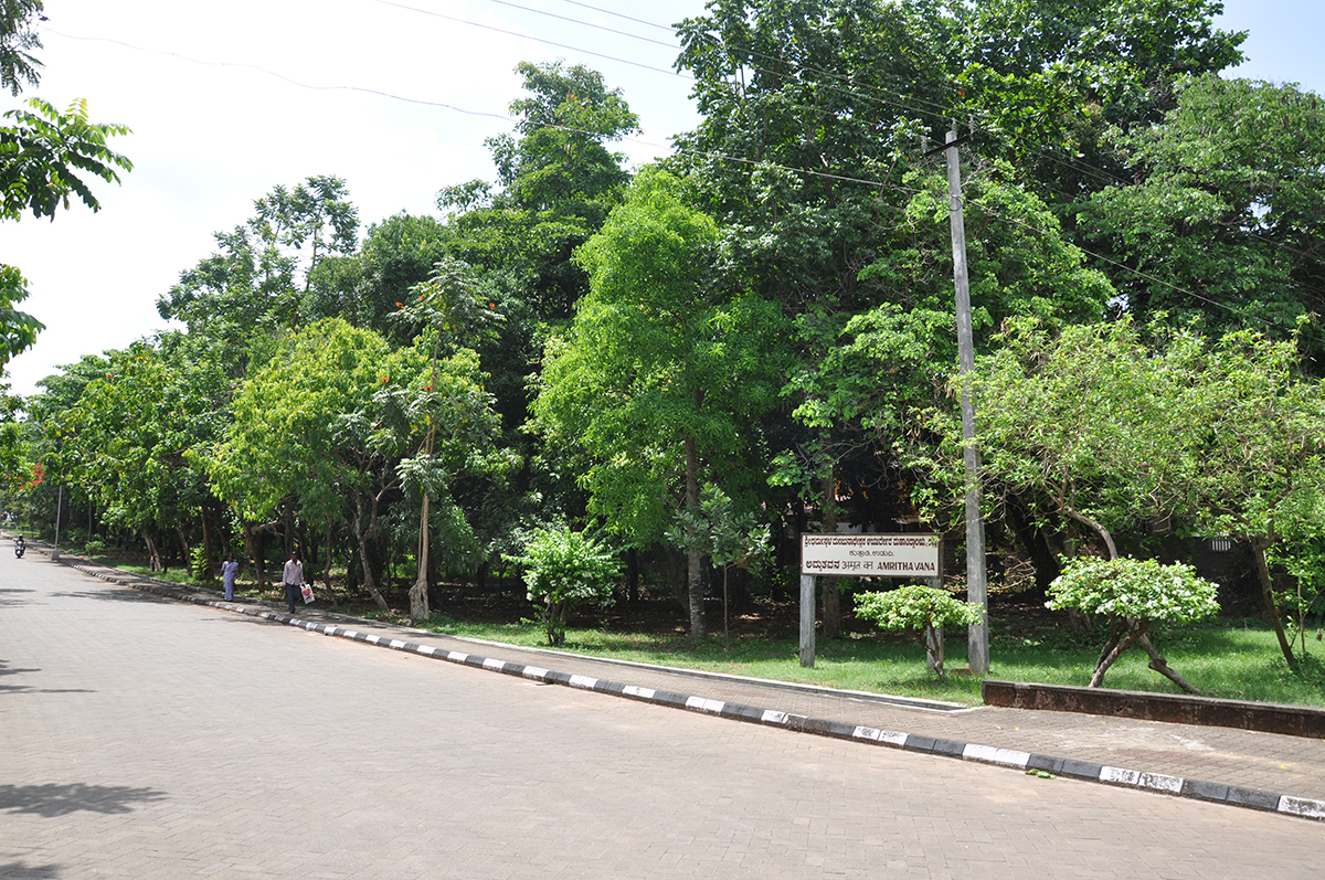 garden_1